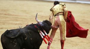 matador-embroché