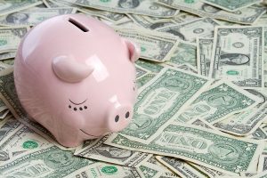 Money Pig dollars savings