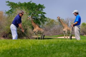 tourisme-afrique