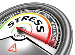stress-test
