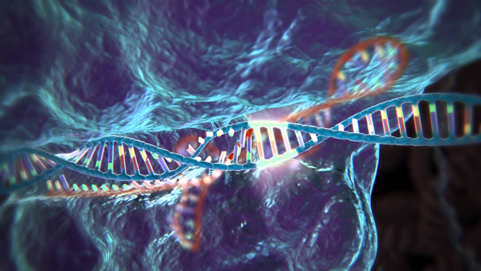 Les Plus Grands Scientifiques Du 21ème Siècle
