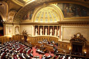 senat-2