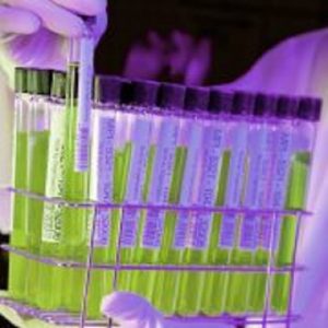 crispr